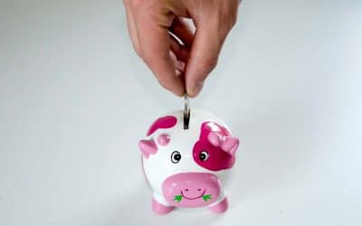 Comment et pourquoi choisir une assurance vie ?